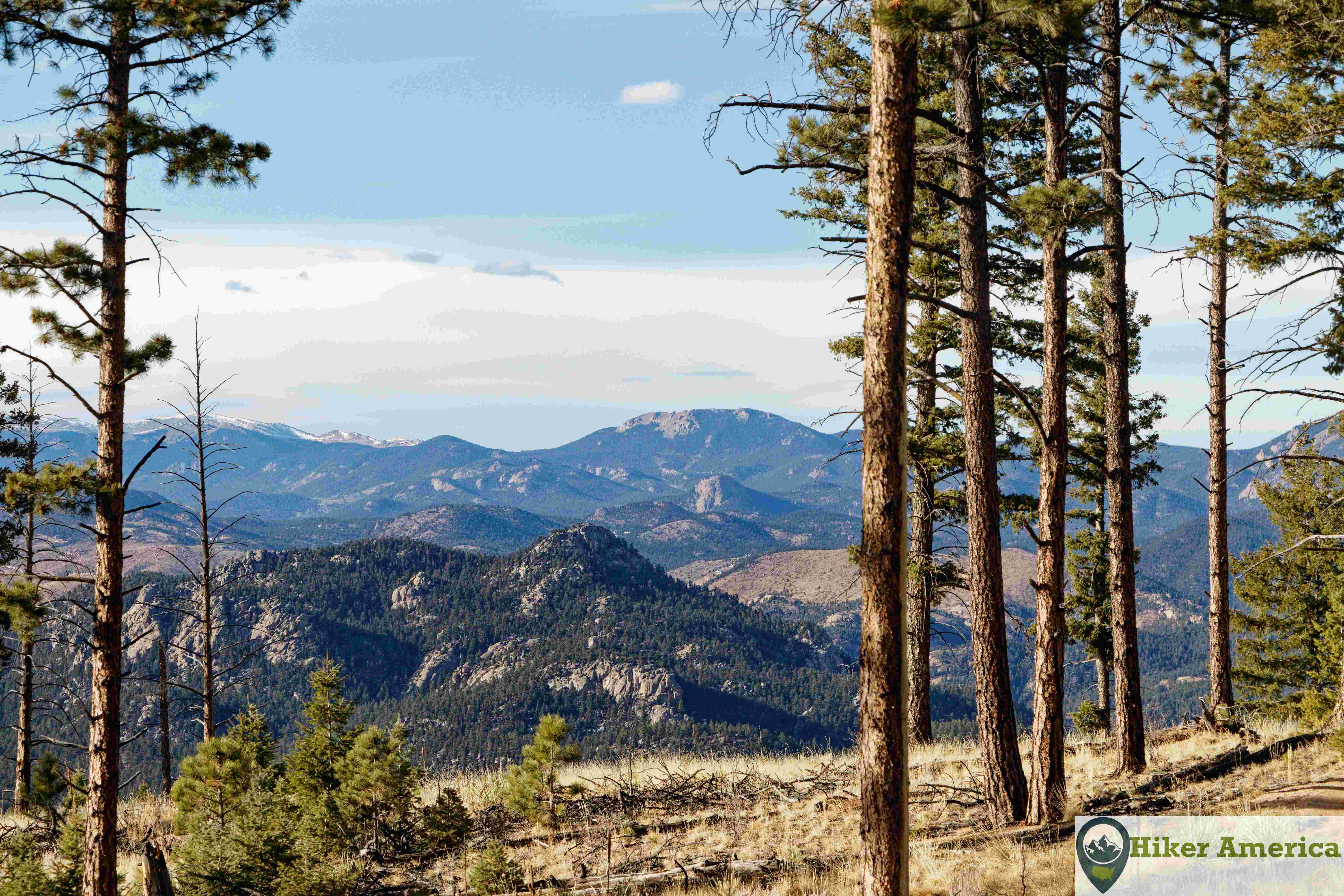 Views through the trees on the Buffalo Burn Trail.